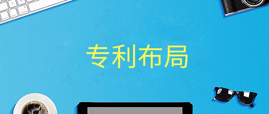 6种经典专利布局