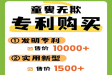 2025年专利价格从类型差异价格解析
