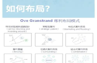 从专利购买全到专利布局：从策略制定到价格流程